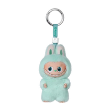 Load image into Gallery viewer, The Monsters Pin for Love Series-Vinyl Plush Pendant Blind Box (A-M)
